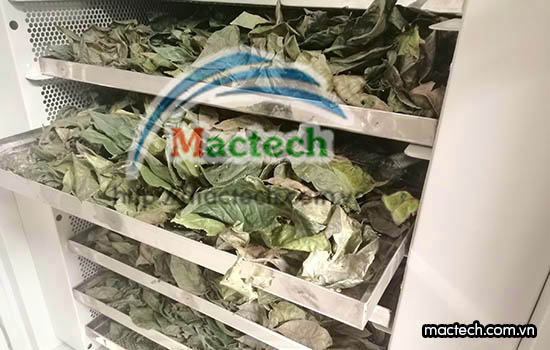 Máy sấy thực phẩm đa năng Mactech