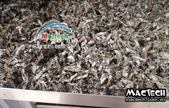 Máy sấy lá gai Mactech, sấy khô nhanh, tiết kiệm điện năng tối ưu