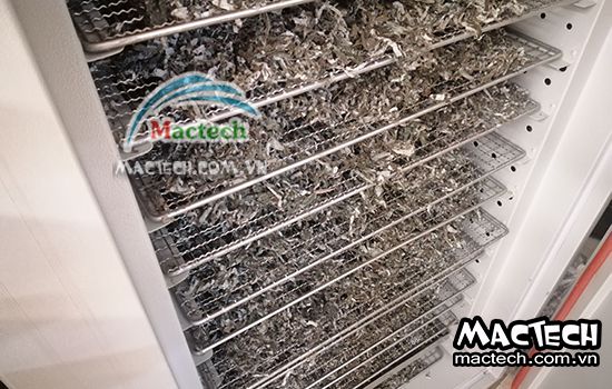 Cách sấy lá gai bằng máy sấy Mactech, hướng dẫn chi tiết