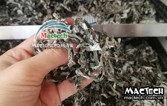 Cách sấy lá gai bằng máy sấy Mactech, hướng dẫn chi tiết
