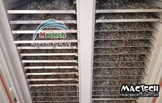 Thời gian sấy lá gai như thế nào, bao lâu thì khô hẳn có thể nghiền bột