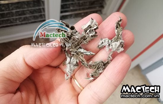 Sấy lá gai nên chọn loại máy sấy nào cho phù hợp