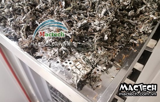 Sấy lá gai nên chọn loại máy sấy nào cho phù hợp