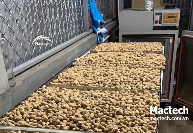 Máy sấy nhiệt độ cao có thể sấy khô sấy chín những loại hạt nào