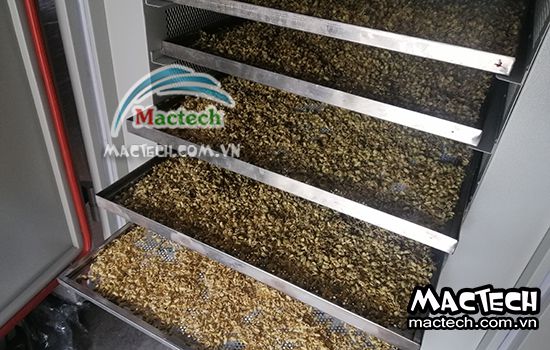 Mầm đậu nành sấy lâu khô, nguyên nhân tại sao và hướng xử lý