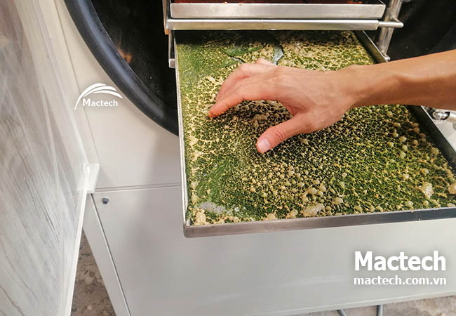 Máy sấy thăng hoa men vi sinh