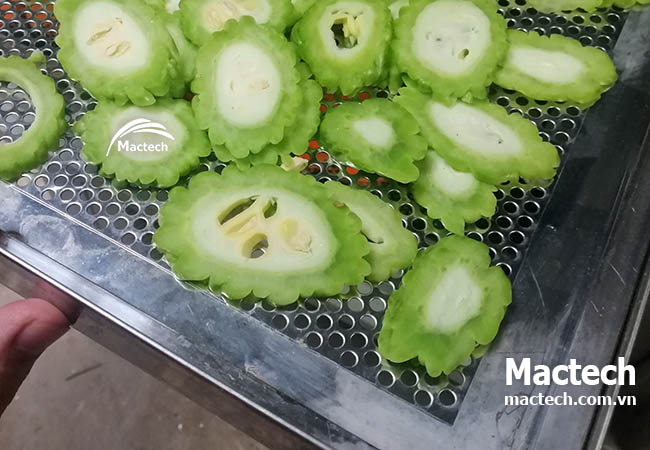 Nên chọn máy sấy nào để sấy mướp đắng hiệu quả