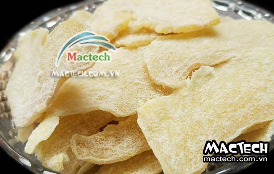 Máy sấy lạnh mứt gừng, sấy mứt gừng chất lượng cao