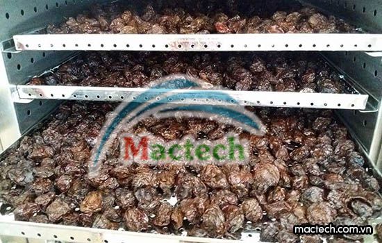 Máy sấy mứt Mactech, sấy khô các loại mứt cho chất lượng cao