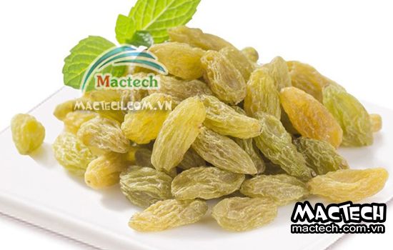 Cách sấy nho khô sử dụng máy sấy Mactech cho hiệu quả cao