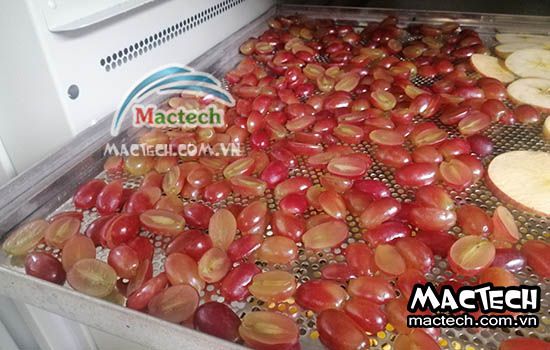 Nhiệt độ sấy nho khô bằng máy sấy bao nhiêu để sấy nhanh khô