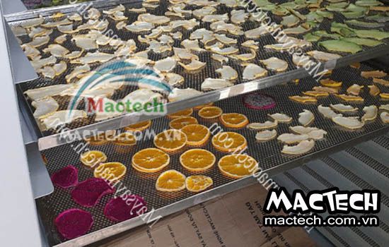 Sấy khô giòn thanh long bằng máy sấy nhiệt, được hay không được
