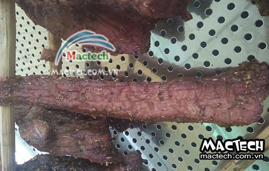 Nhiệt độ sấy thịt bò khô bằng máy sấy Mactech bao nhiêu