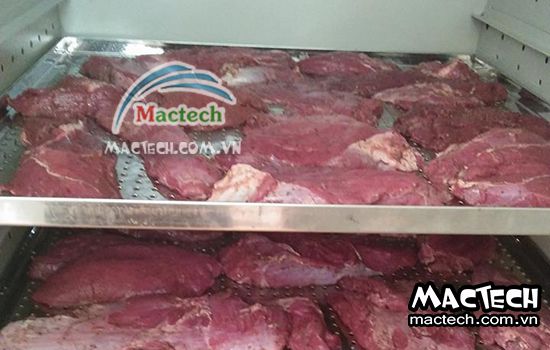 Thời gian sấy thịt bò khô phù hợp bằng máy sấy Mactech