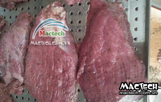 Cách sấy thịt bò khô sử dụng máy sấy nhiệt đa năng Mactech