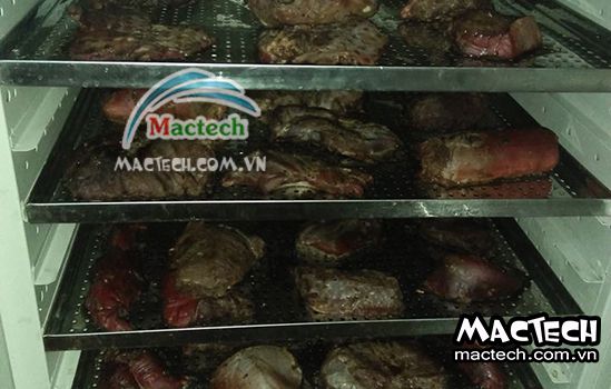 Cách sấy thịt bò khô sử dụng máy sấy nhiệt đa năng Mactech