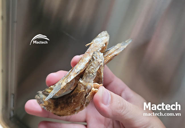 Sấy da heo, cá khô, hải sản bằng máy sấy nhiệt độ cao