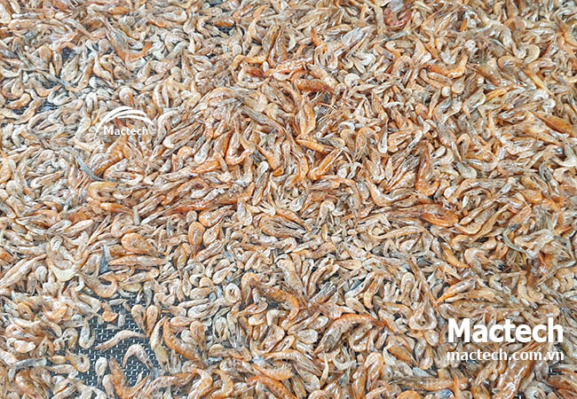 Sấy da heo, cá khô, hải sản bằng máy sấy nhiệt độ cao