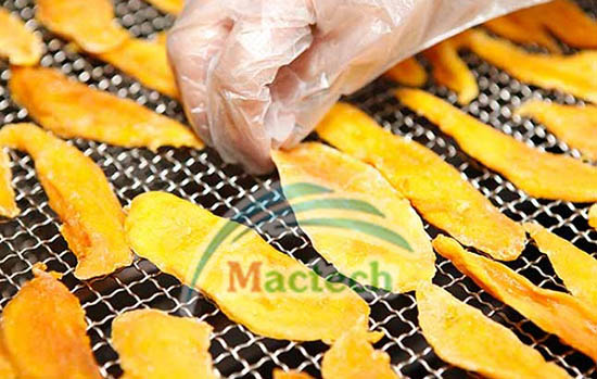 Máy sấy khô trái cây Mactech