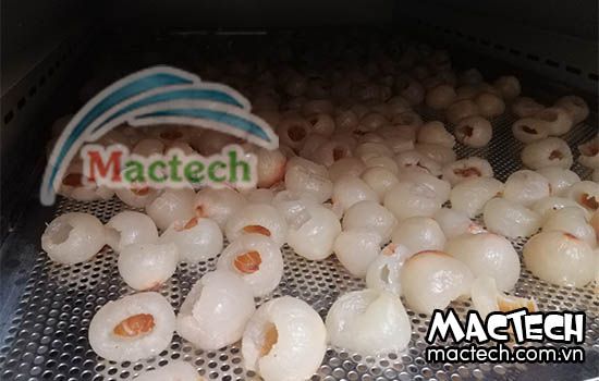 Sấy vải khô nguyên quả, sấy long vải bằng máy sấy Mactech