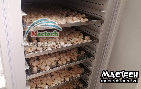Máy sấy long vải, máy sấy vải nguyên quả Mactech Việt Nam