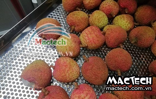 Nhiệt độ và thời gian sấy vải nguyên quả