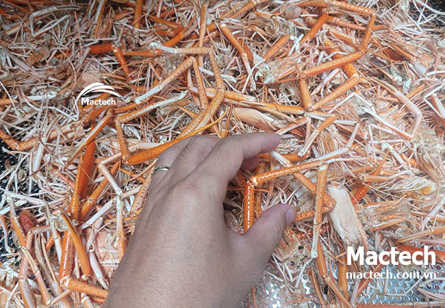 Máy sấy vỏ tôm làm bột tôm Mactech