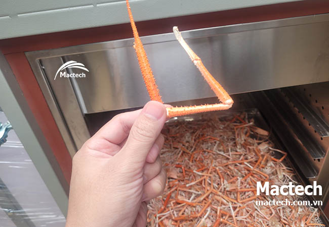 Máy sấy vỏ tôm làm bột tôm Mactech