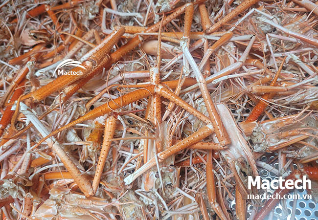 Máy sấy vỏ tôm làm bột tôm Mactech