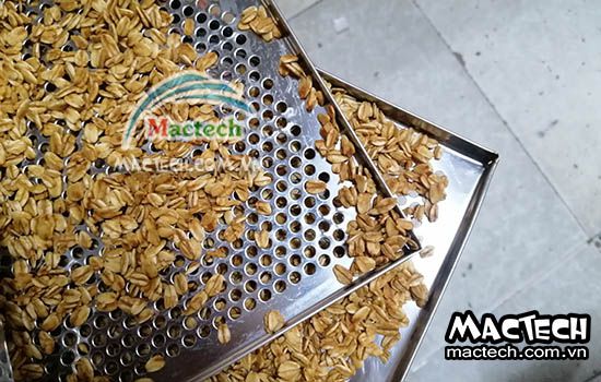 Cách rang sấy yến mạch bằng máy sấy nhiệt độ cao Mactech