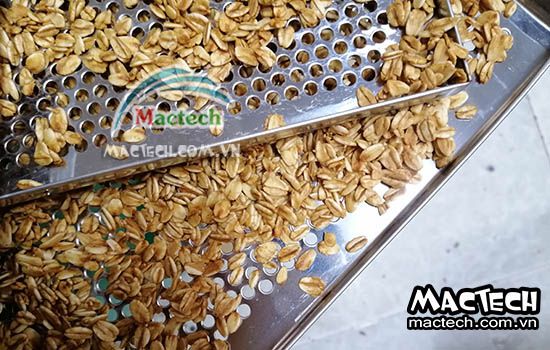 Cách rang sấy yến mạch bằng máy sấy nhiệt độ cao Mactech