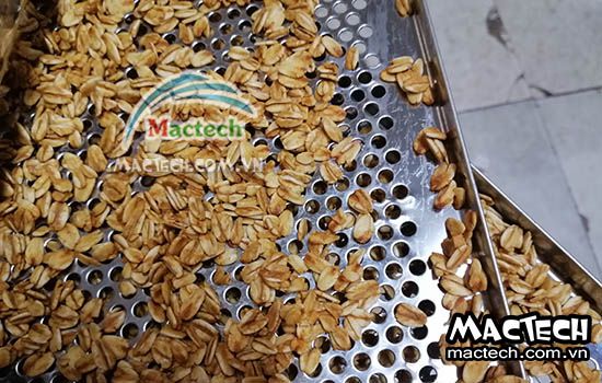 Sấy yến mạch tẩm mật ong bằng máy sấy nhiệt độ cao Mactech