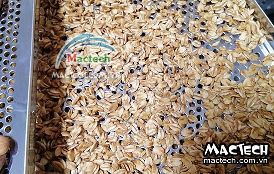 Sấy yến mạch tẩm mật ong bằng máy sấy nhiệt độ cao Mactech