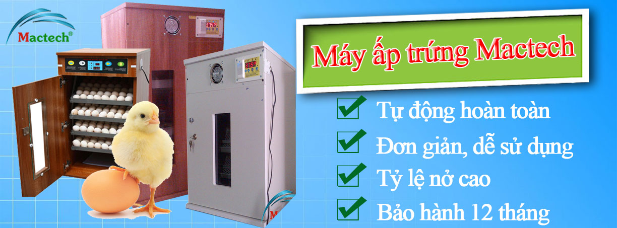 Máy ấp trứng Mactech