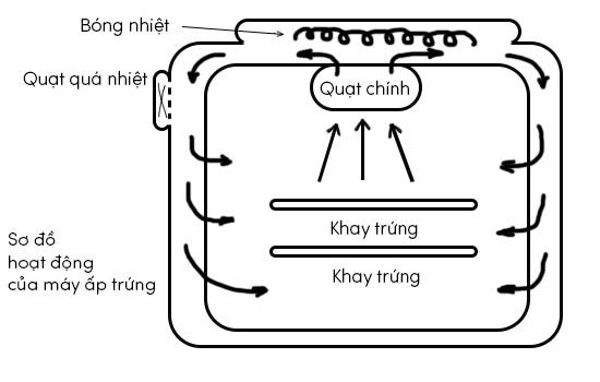 Sơ đồ nguyên lý máy ấp trứng Mactech