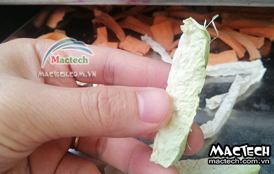 Máy sấy thăng hoa su hào Mactech, sấy khô nghiền bột cao cấp