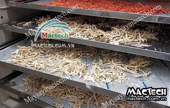 Máy sấy lạnh su hào, sấy khô nhanh giữ hàm lượng dinh dưỡng cao