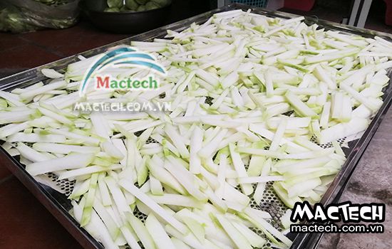 Nhiệt độ sấy su hào sử dụng máy sấy cho hiệu quả cao