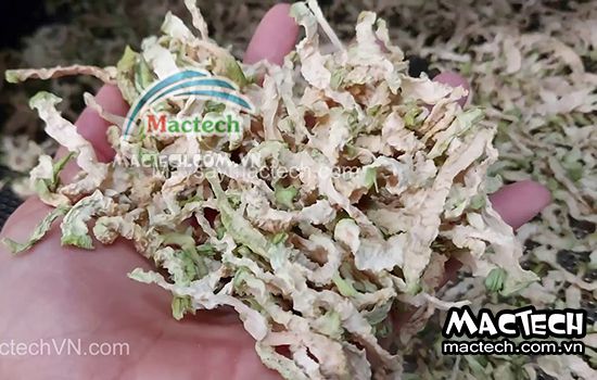 Su hào sấy lâu khô, nguyên nhân và cách khắc phục