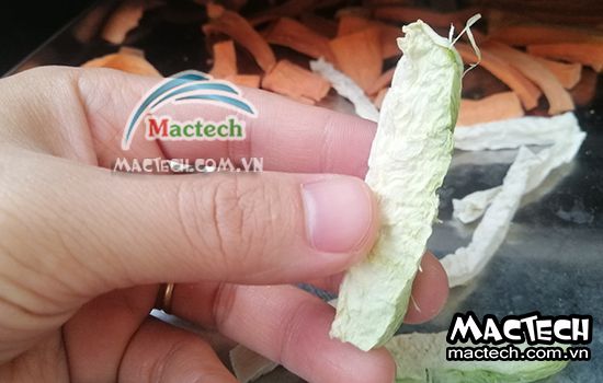 Sấy su hào nên chọn loại máy sấy nào cho phù hợp