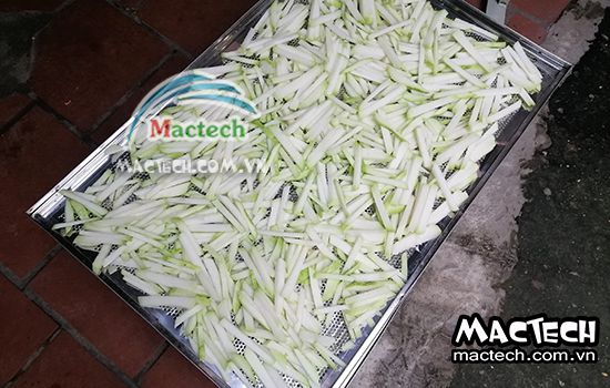 Sấy su hào nên chọn loại máy sấy nào cho phù hợp