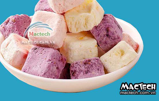 Máy sấy thăng hoa sữa chua Mactech, sấy thăng hoa cao cấp