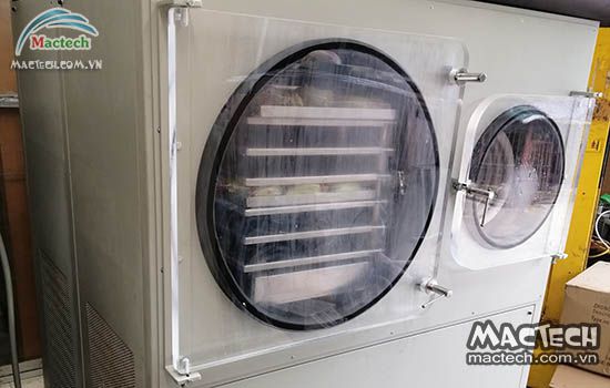 Máy sấy thăng hoa hoa quả Mactech, sấy khô ăn liền cao cấp