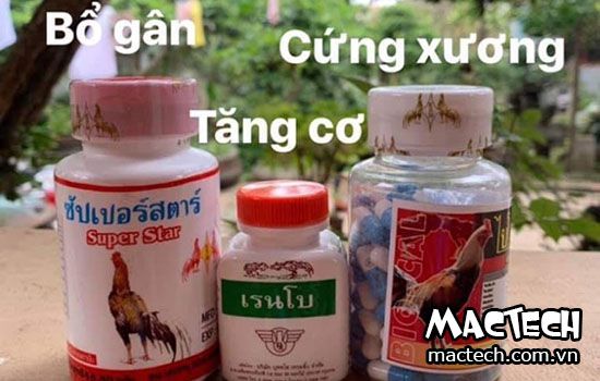 Các loại thuốc bổ cho gà chọi, 5 loại thuốc bổ cho gà nòi, gà đá