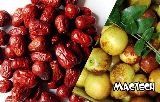 máy sấy táo tàu