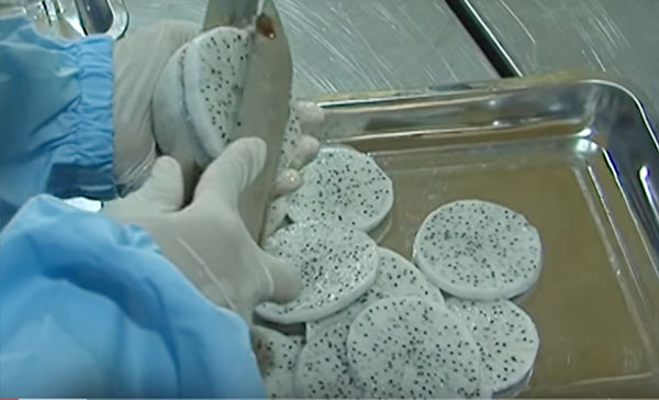 Thanh long thái lát