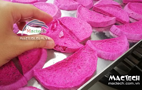 Máy sấy thăng hoa thanh long Mactech, sấy khô ăn liền cao cấp