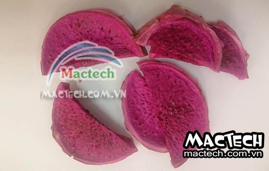 Sấy khô giòn thanh long bằng máy sấy nhiệt, được hay không được