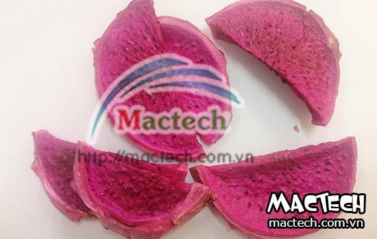 Máy sấy thăng hoa Mactech, sấy đông khô các sản phẩm cao cấp