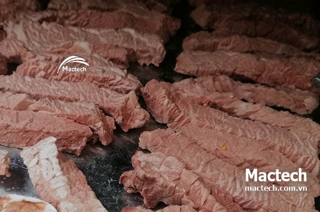 Máy sấy thăng hoa thịt bò Mactech